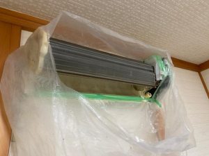 image3_17.jpeg