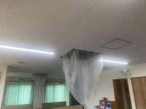 image2_18.jpeg
