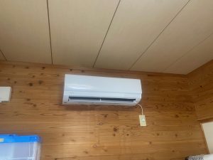 image1_11.jpeg