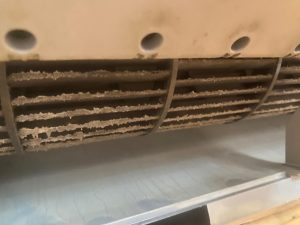 image3_11.jpeg