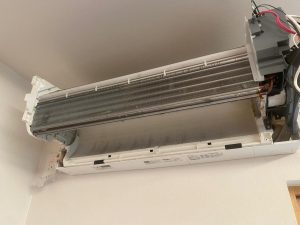 image1_10.jpeg