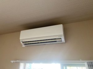 image1_10.jpeg