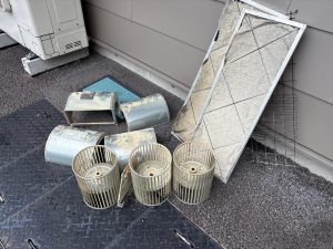 image1.jpeg