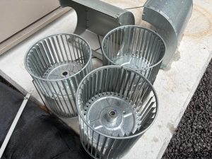 image2.jpeg