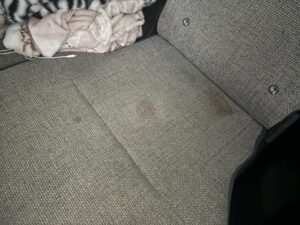 image0_8.jpeg