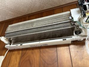 image1_11.jpeg
