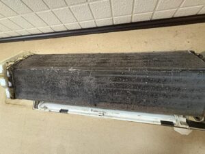 image1_31.jpeg