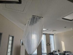image3_10.jpeg