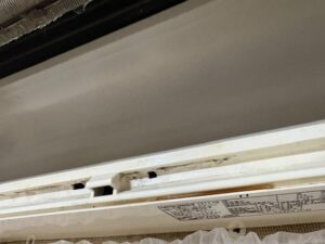 image4_12.jpeg