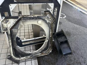 image11_2.jpeg