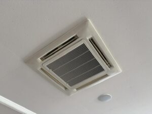 image1_24.jpeg