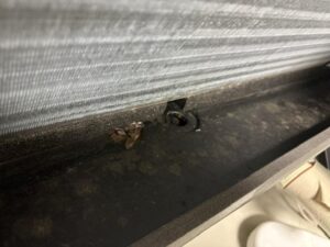 image1_16.jpeg