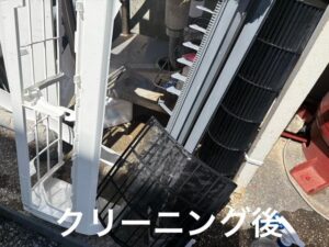 image6_10.jpeg