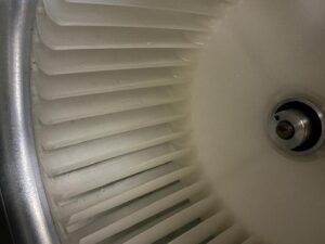 image8_3.jpeg