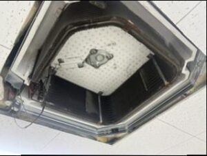 image16.jpeg