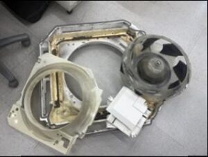 image17_2.jpeg