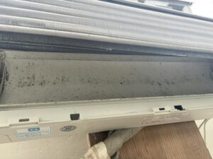 image2_6.jpeg