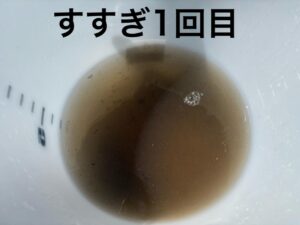 image3.jpeg