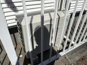 image3_8.jpeg