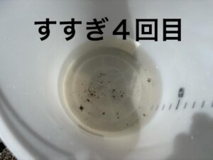 image6_2.jpeg