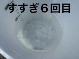 image8_2.jpeg